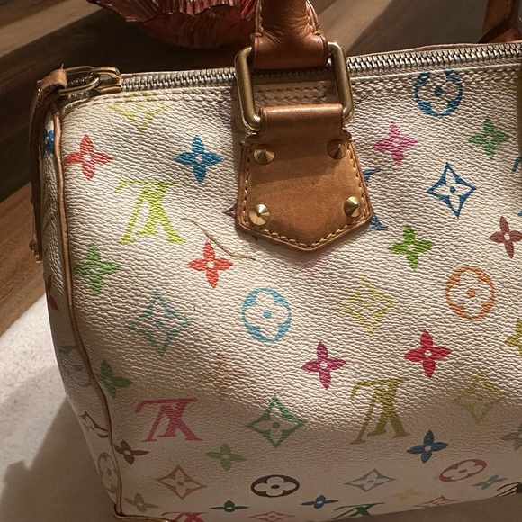 Louis Vuitton Murakami Takashi Speedy 30 Multicolore - Picture 7 of 13